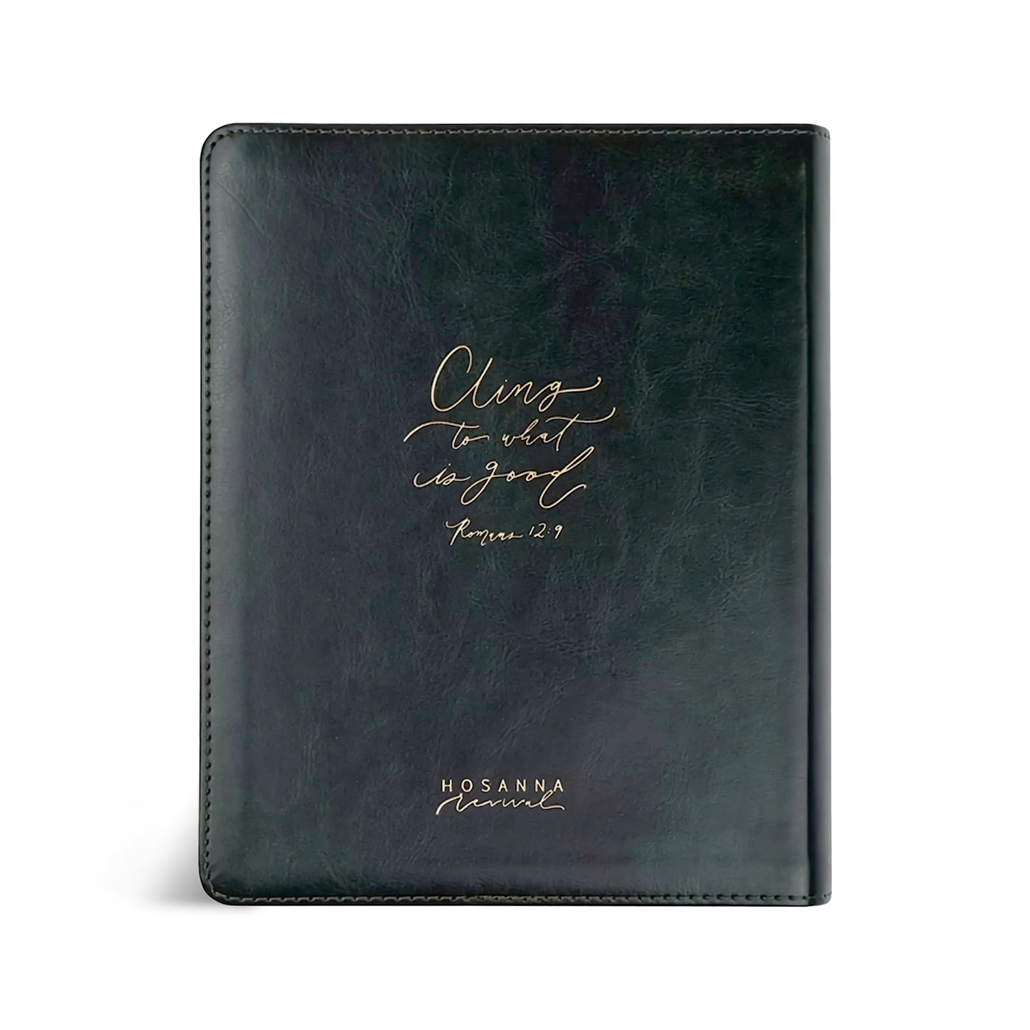ESV Hosanna Revival Journaling Bible : Hyde Park Theme