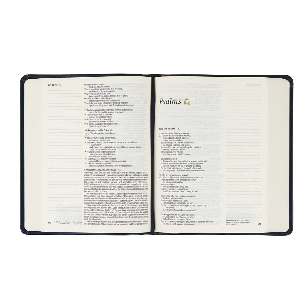 Journaling Bible Kit: NLT Hosanna Revival Note Taking Bible: Versailles Theme