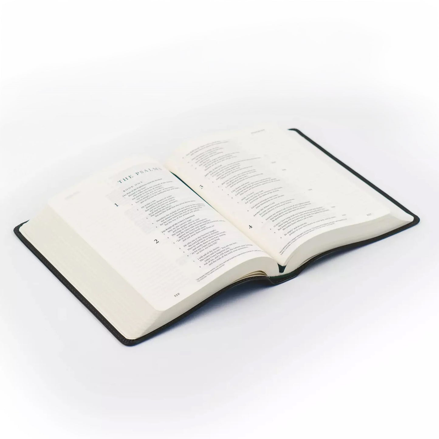 ESV Hosanna Revival Journaling Bible : Hyde Park Theme
