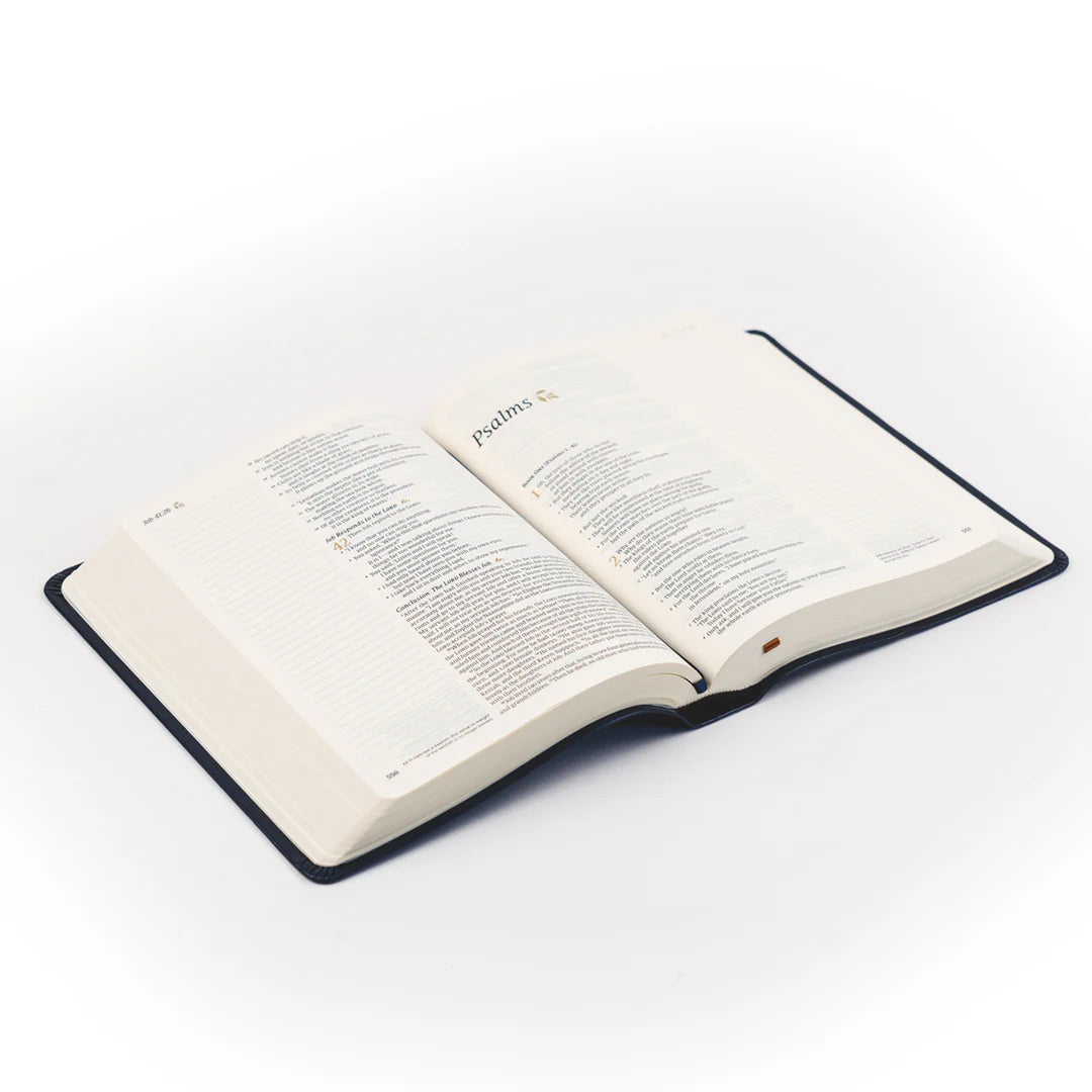 Journaling Bible Kit: NLT Hosanna Revival Note Taking Bible: Versailles Theme
