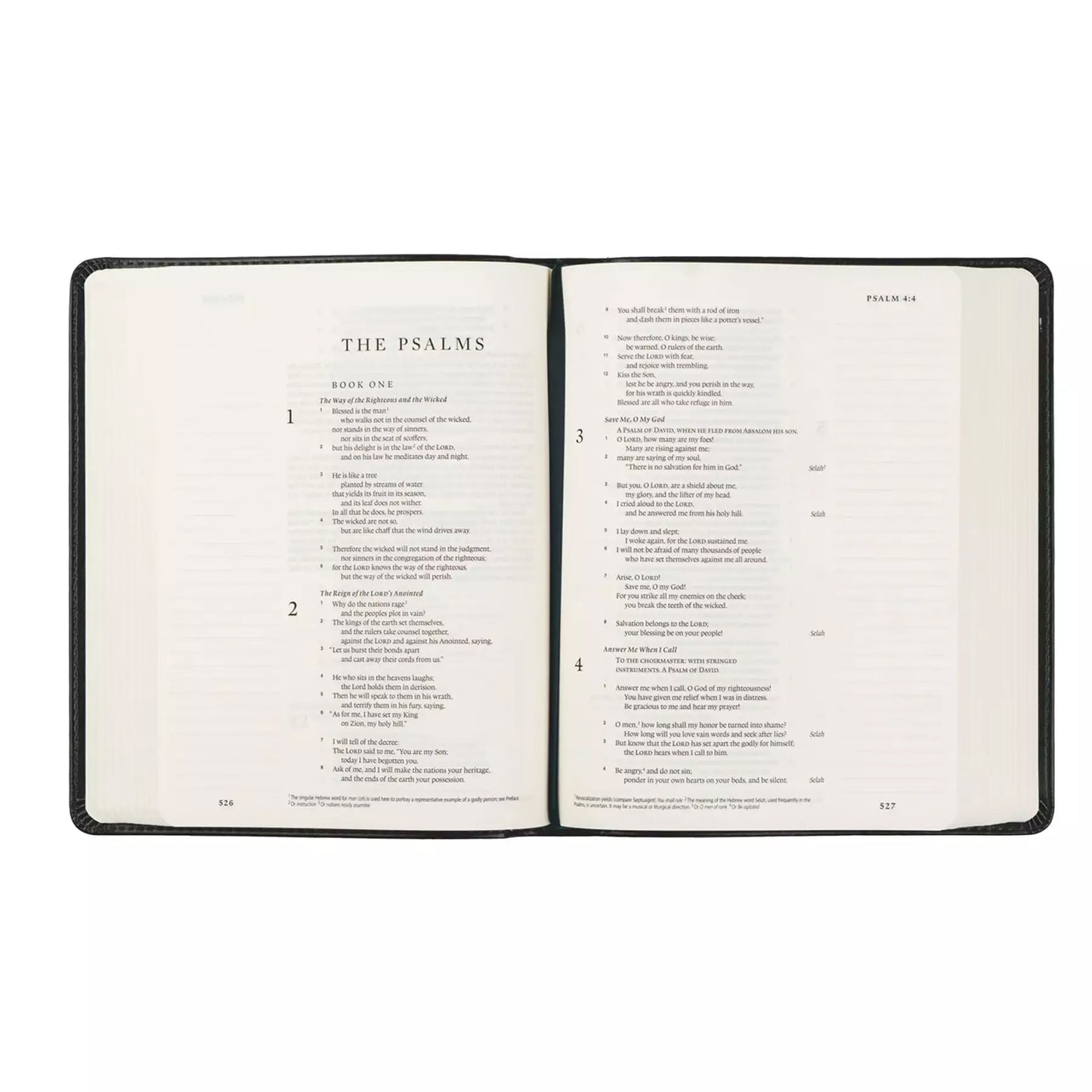 ESV Hosanna Revival Journaling Bible : Hyde Park Theme