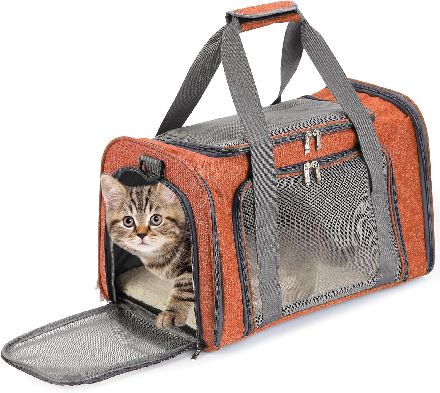 Cat crate for car travel fashion