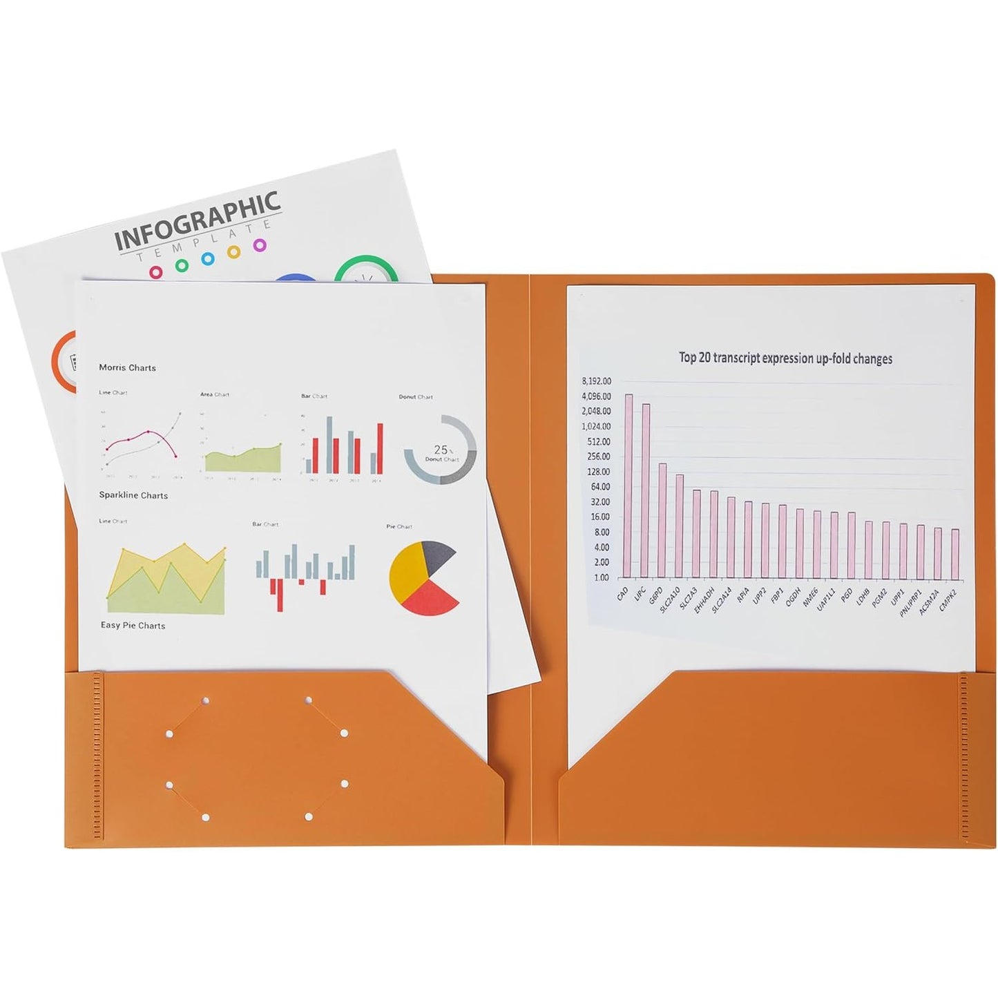 Plastic Folders with Pockets, 5 pcs, Assorted Colors, 2 Pocket Folder, Plastic 2 Pocket Folders for School Folders, Two Pocket Folder, 2 Pocket Plastic Folders, Plastic Pocket Folder