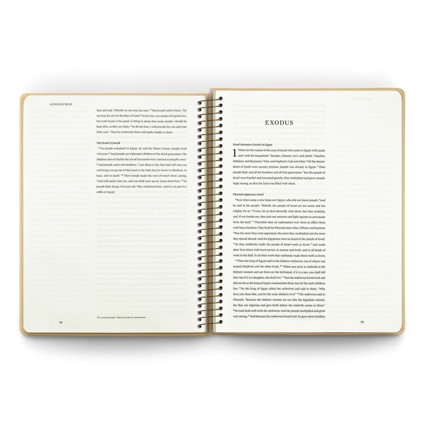 ESV Spiral-Bound Journaling Bible, Pentateuch