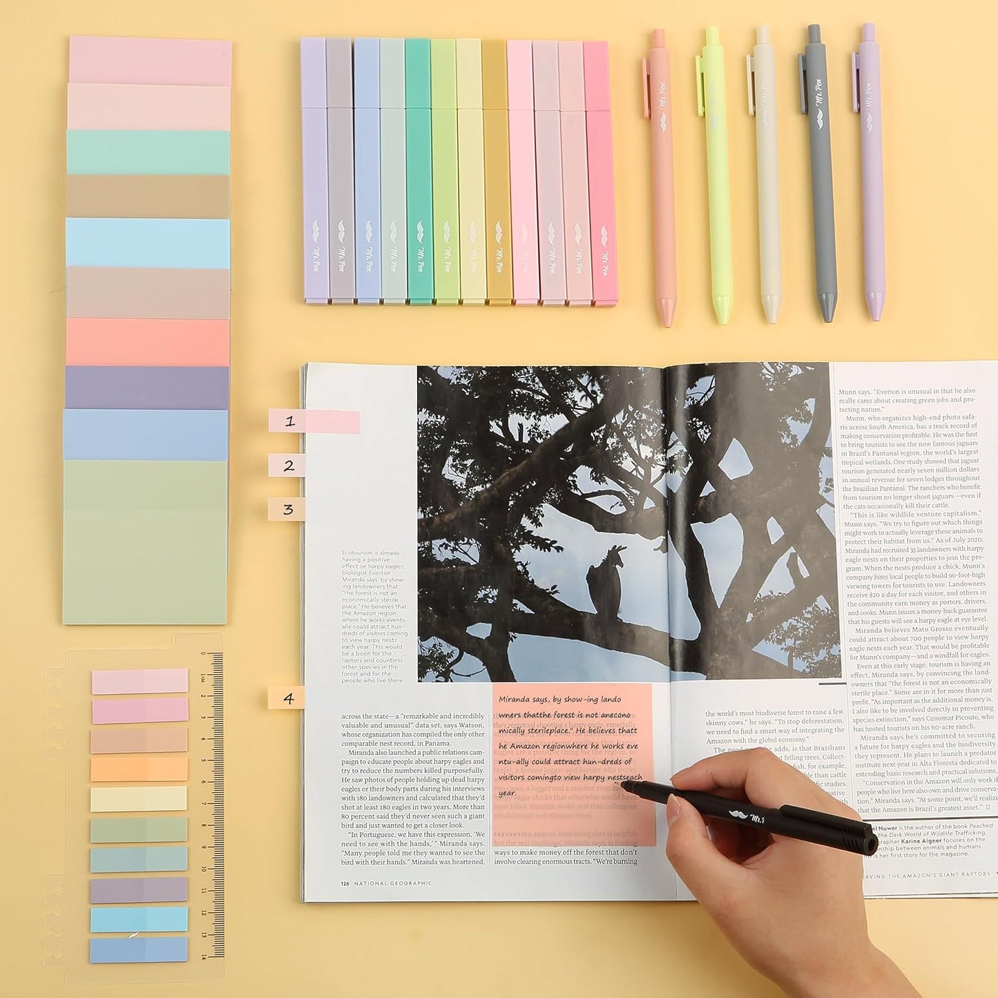 Mr. Pen- Aesthetic Book Annotation Kit, 38 pcs, Aesthetic Highlighters and Gel Pens