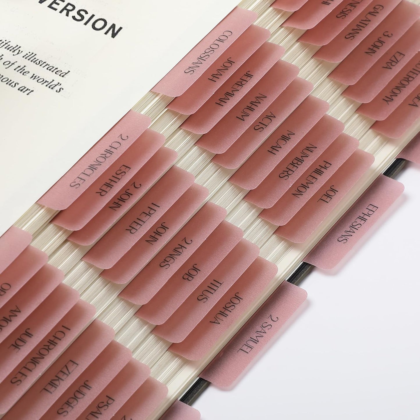 Mr. Pen- Bible Tabs, 75 Tabs, Transparent Pink Laminated Bible Tabs for Women and Men