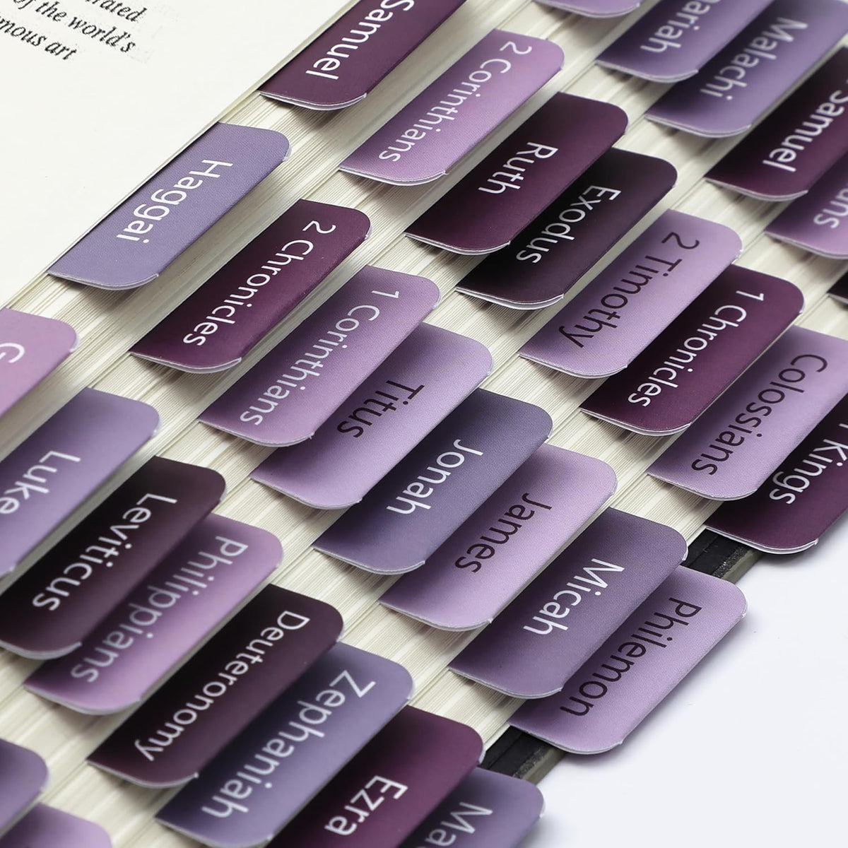 Mr. Pen- Bible Tabs, 75 Tabs, Ethereal Amethyst, Laminated Bible Tabs for Women and Men, Bible Tabs for Study Bible