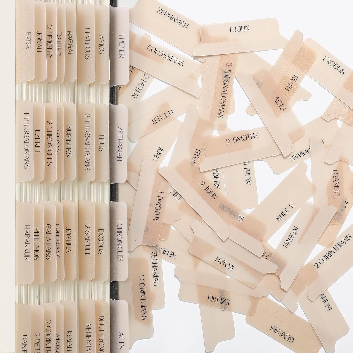 Mr. Pen- Bible Tabs, 75 Tabs, Transparent Cappuccino Laminated Bible Tabs for Women and Men, Bible Tabs for Study Bible Index Tabs, Bible Labels Tabs