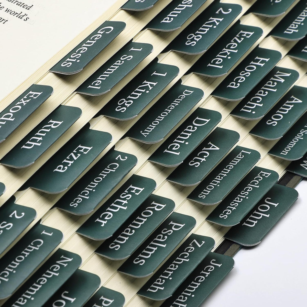 Mr. Pen- Laminated Bible Tabs, 75 pcs, Elegant Green, Easy-to-Read & Apply, Tear Resistant Index Tabs for Women and Men