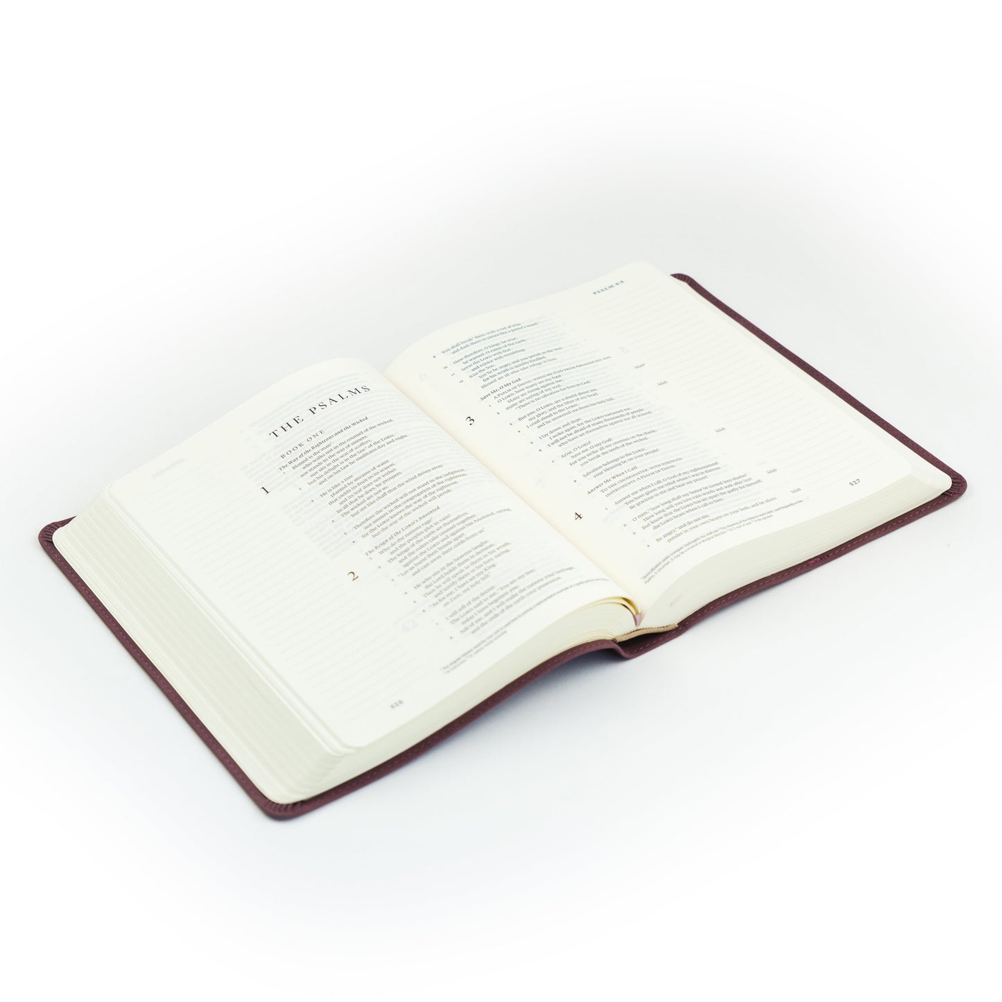 ESV Hosanna Revival Journaling Bible : Helena Theme