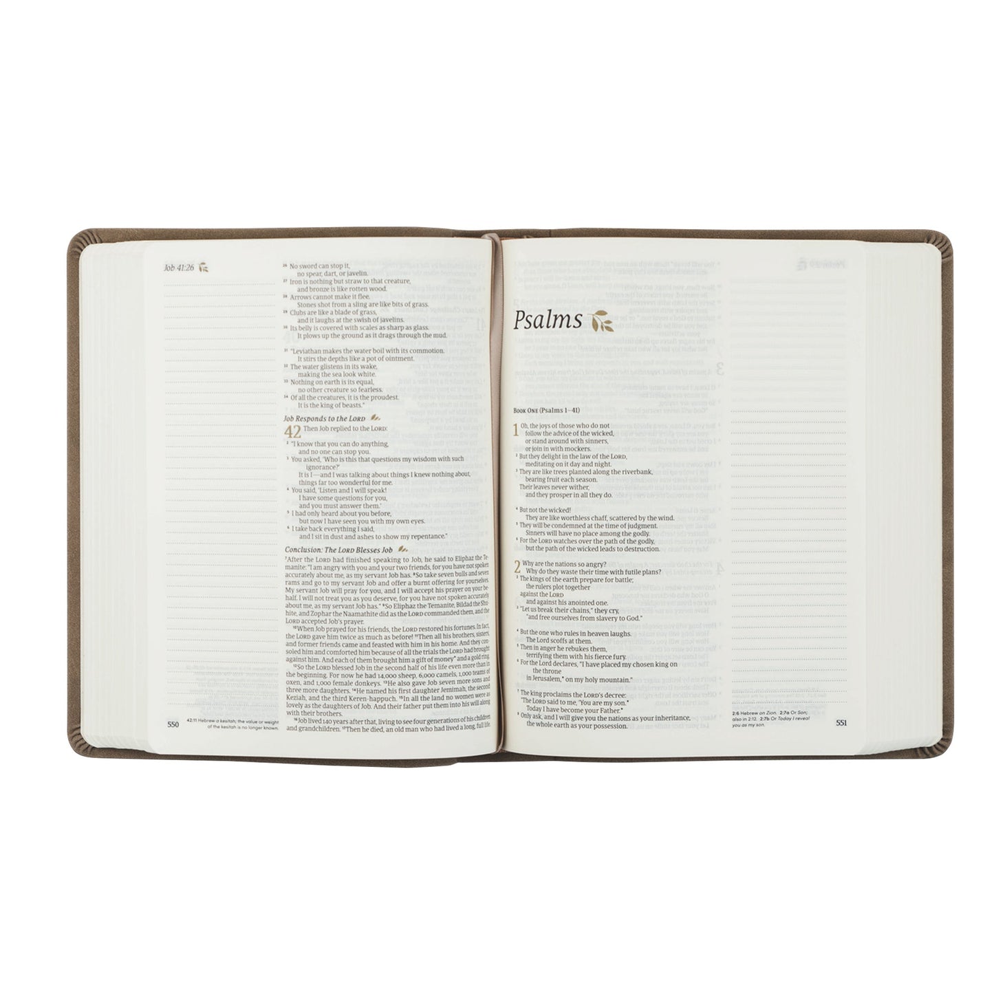 KJV Hosanna Revival Large Print Notetaking Bible: Marlo Theme