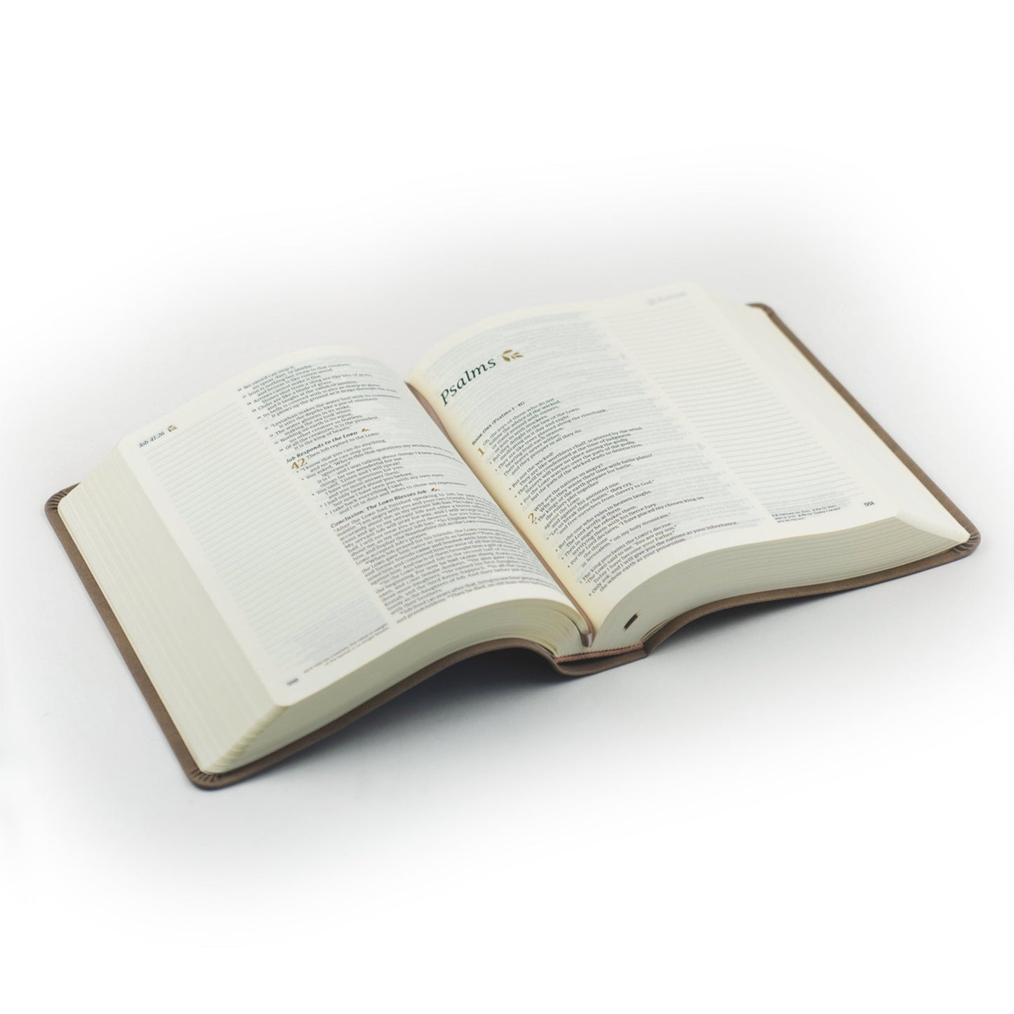 KJV Hosanna Revival Large Print Notetaking Bible: Marlo Theme