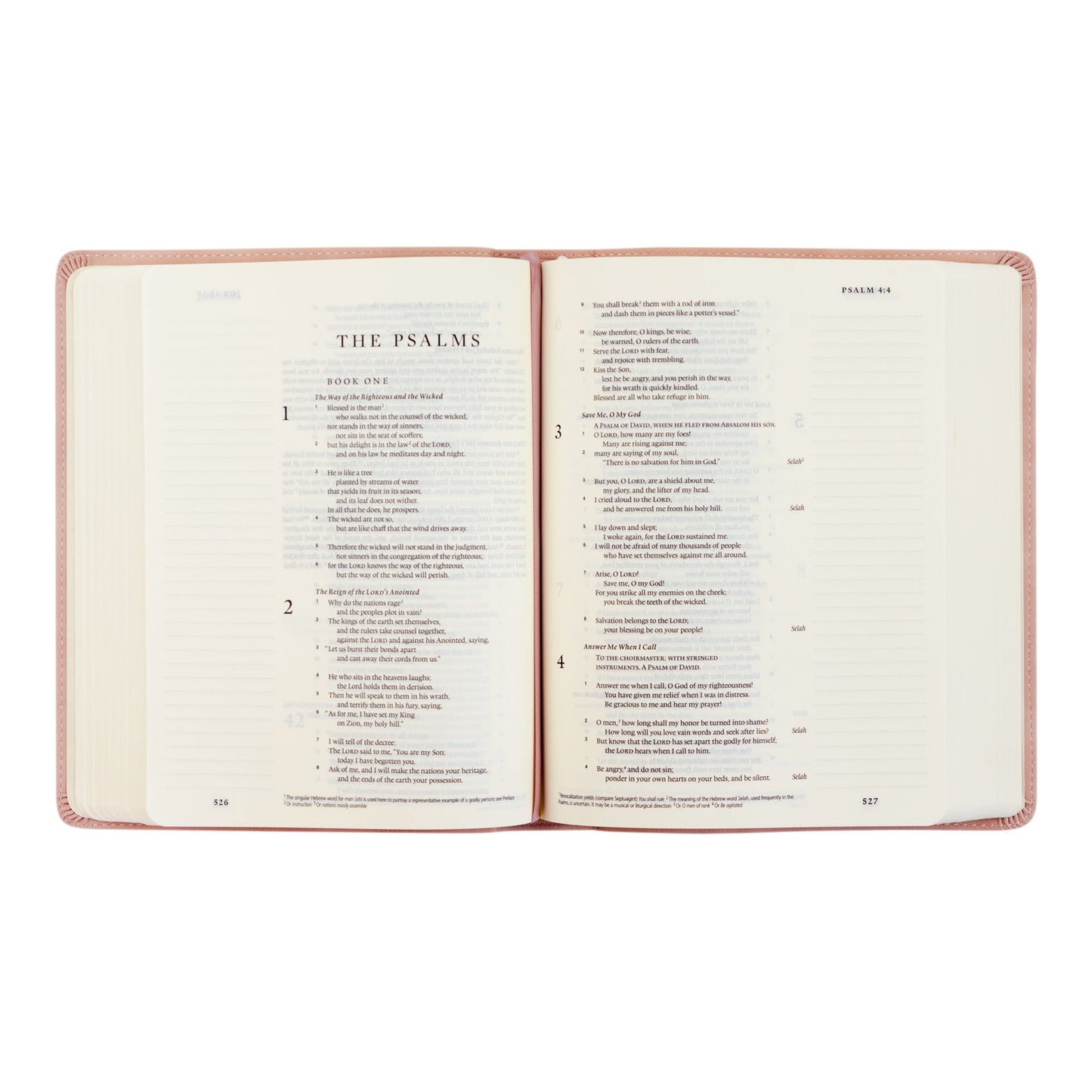 ESV Hosanna Revival Journaling Bible: Shiloh, Yorkshire, Hyde Park, Helena, and Seirra Theme