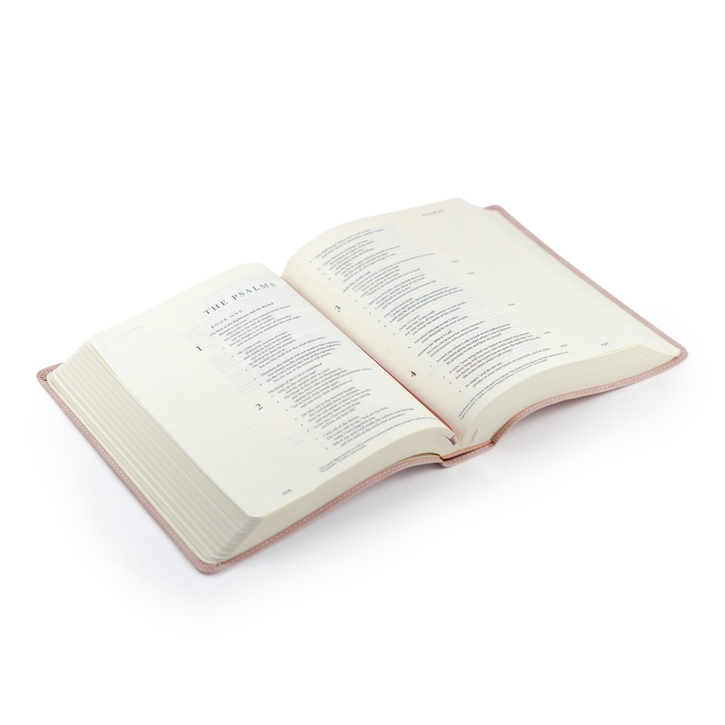 Journaling Bible Kit: NLT Hosanna Revival Notetaking Bible Shiloh Theme