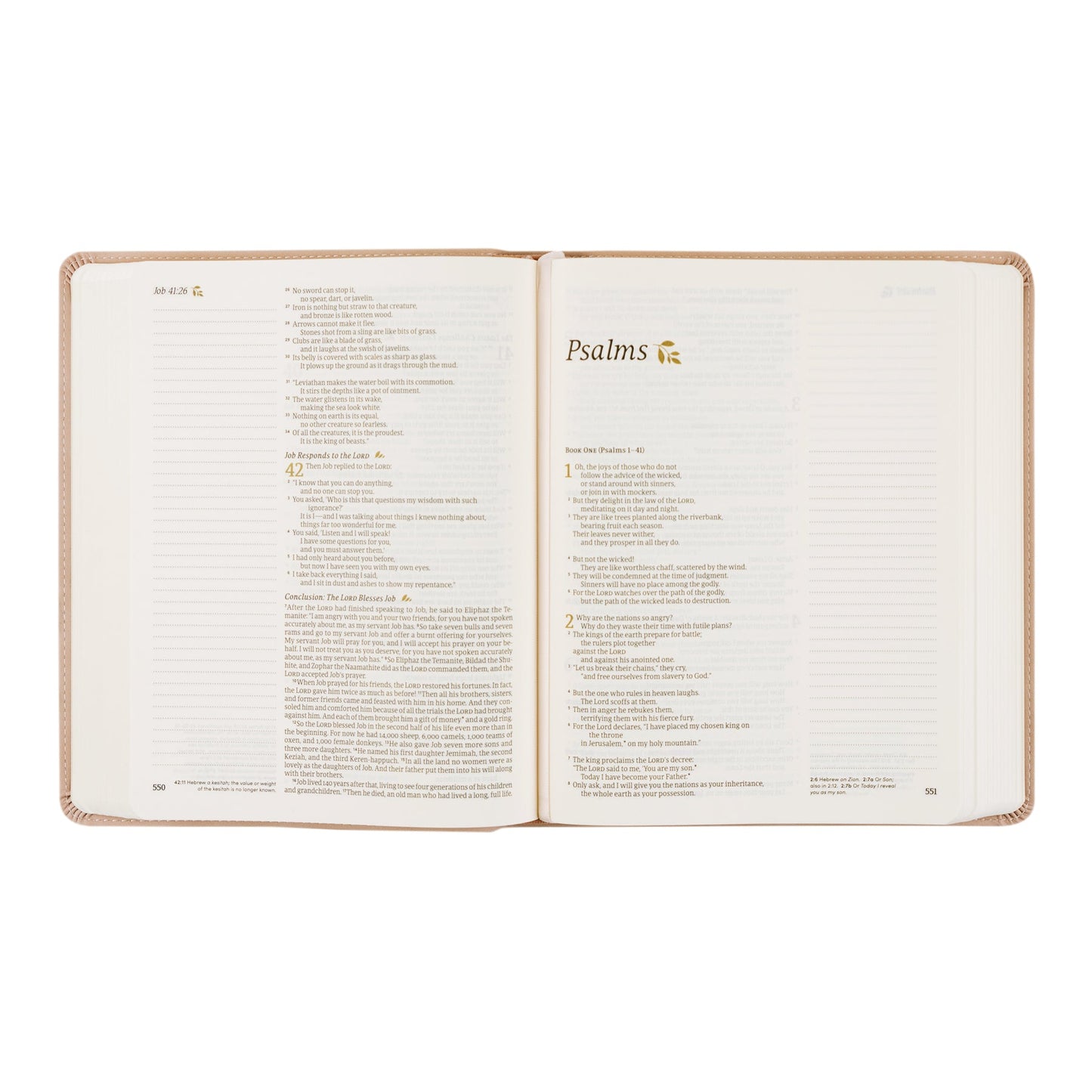 Journaling Bible Kit: NLT Hosanna Revival Notetaking Bible Shiloh Theme