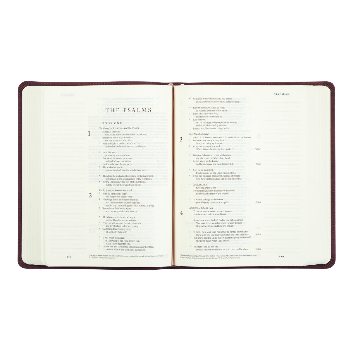 Hosanna Revival Journaling Bibles