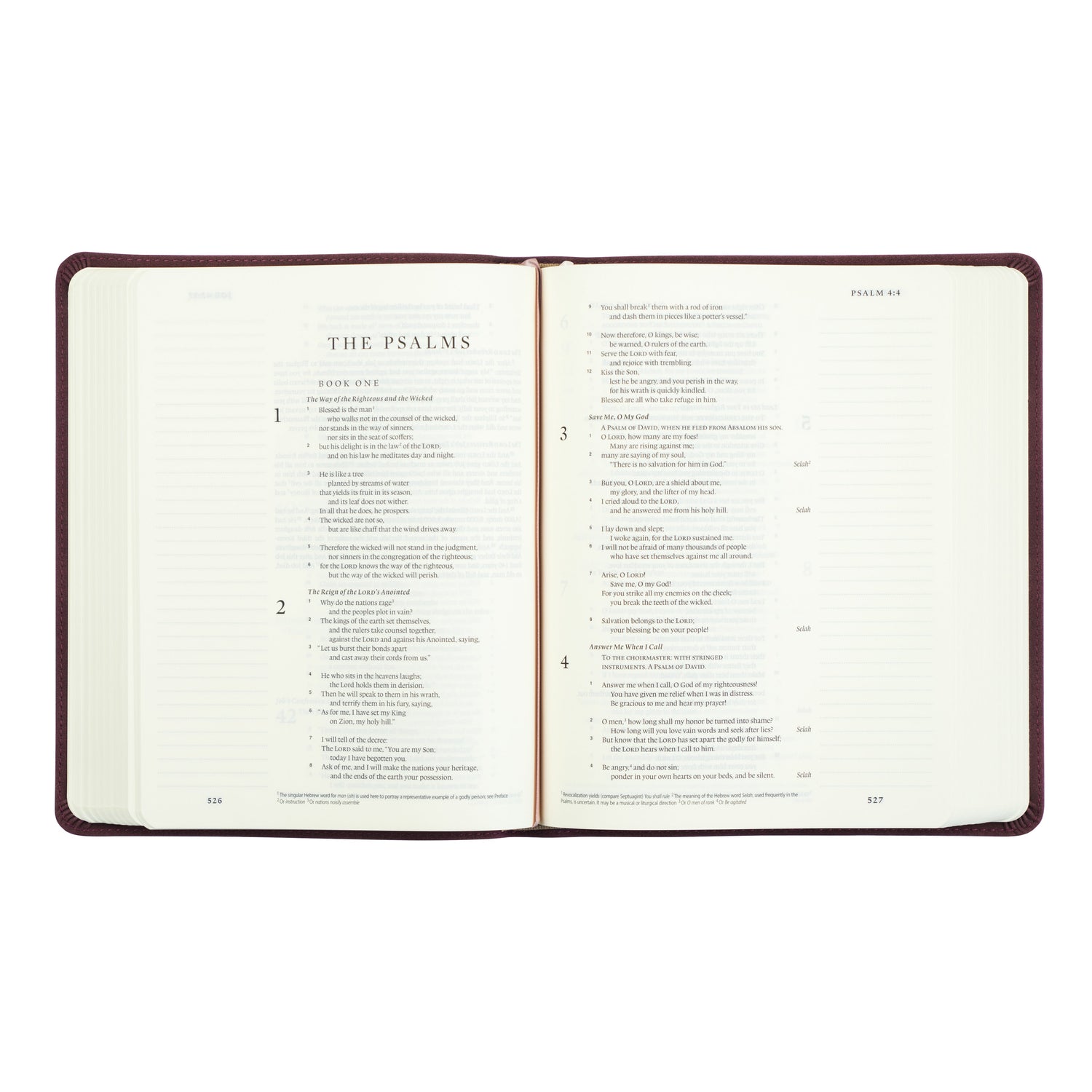 Hosanna Revival Journaling Bibles