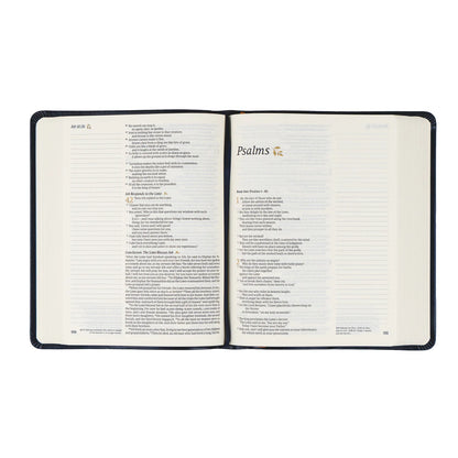 Journaling Bible Kit: NLT Hosanna Revival Note Taking Bible: Versailles Theme