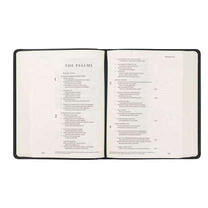 ESV Hosanna Revival Journaling Bible : Hyde Park Theme