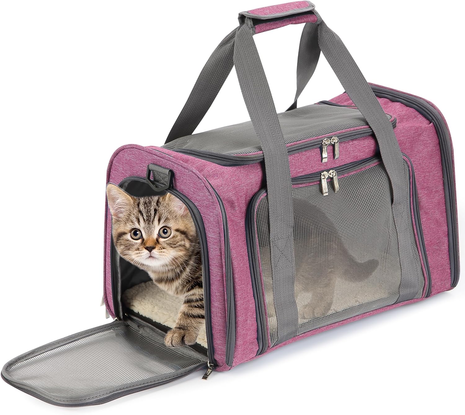 Pet travel fashion carrier