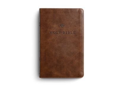 ESV Premium Church Bible, TruTone®, Brown