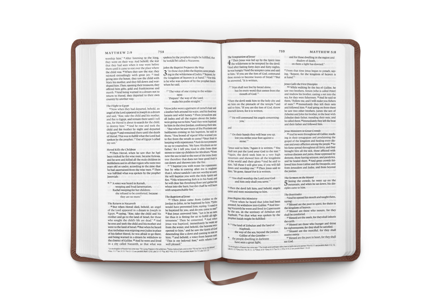 ESV Premium Church Bible, TruTone®, Brown