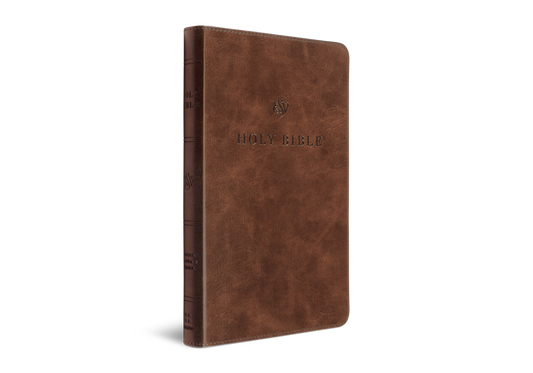 ESV Premium Church Bible, TruTone®, Brown