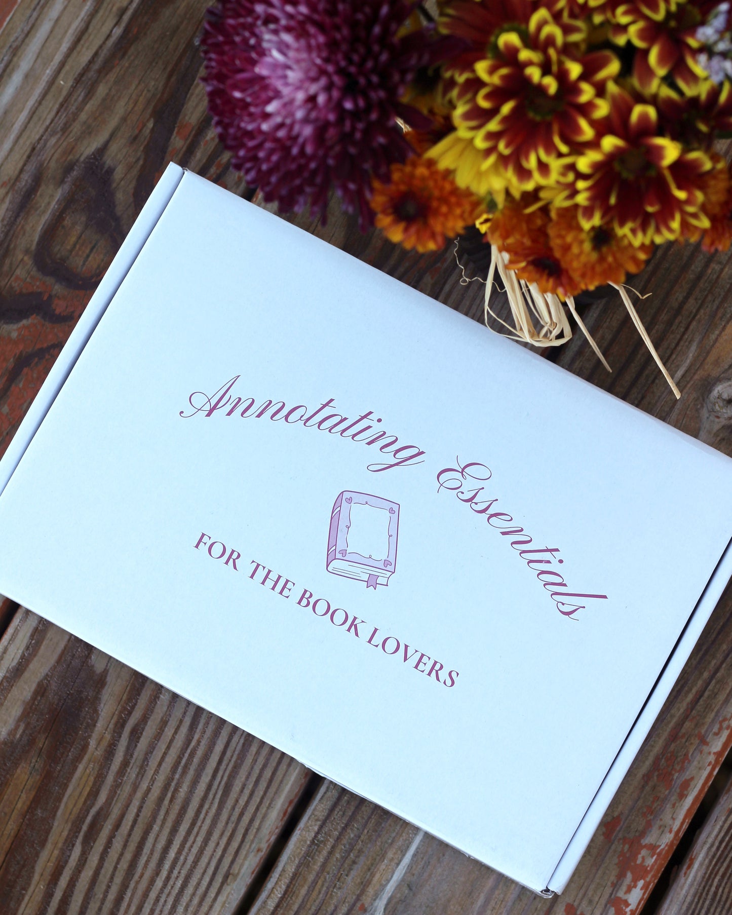 Mr. Pen – Annotation Essentials Kit for Book Lovers, Aesthetic Highlighters, Transparent Sticky Notes, Annotation Key Bookmark, Stickers & Pencil Pouch