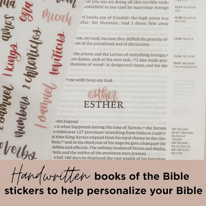 Esther Bible Journaling Kit, Loaded Bible journaling Kit in collaboration with @SydneyJournals