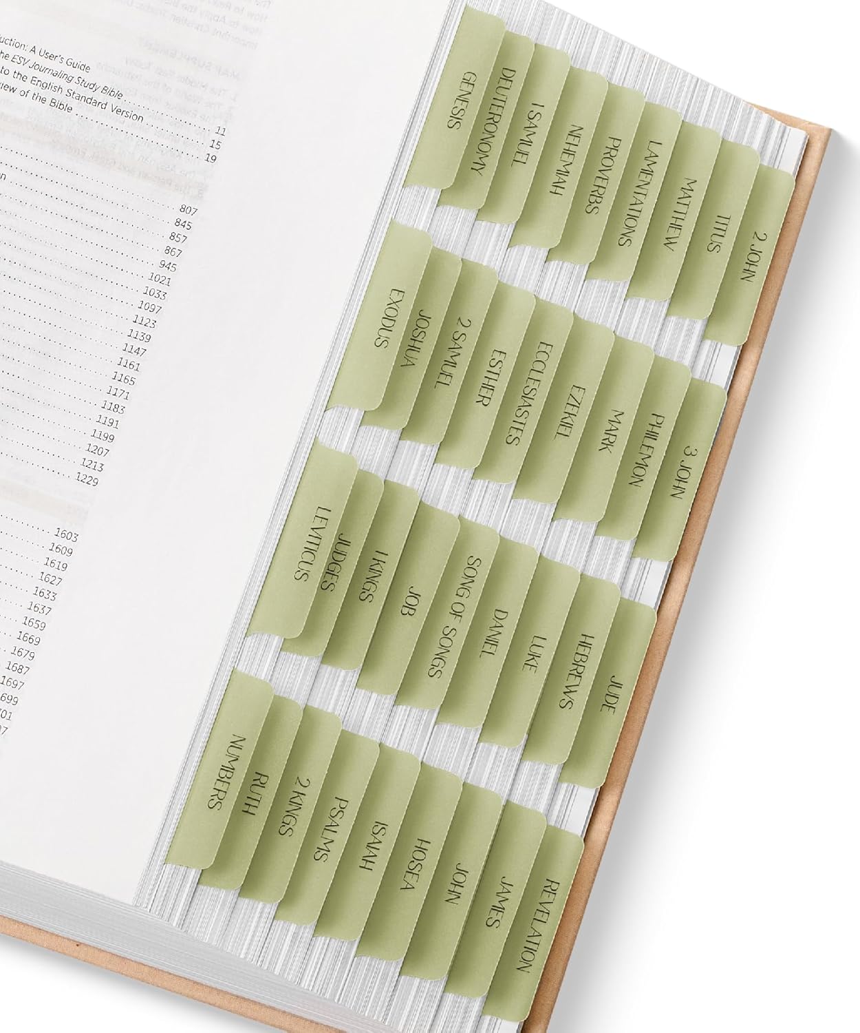 Mr. Pen- Bible Tabs, 75 Tabs, Transparent Olive Green Laminated Bible Tabs for Women and Men, Bible Tabs for Study Bible Index Tabs