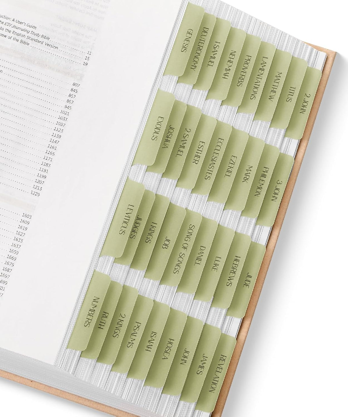 Mr. Pen- Laminated Bible Tabs, 75 pcs, Translucent Olive Green, Easy-to-Read & Apply, Tear Resistant Index Tabs for Women and Men