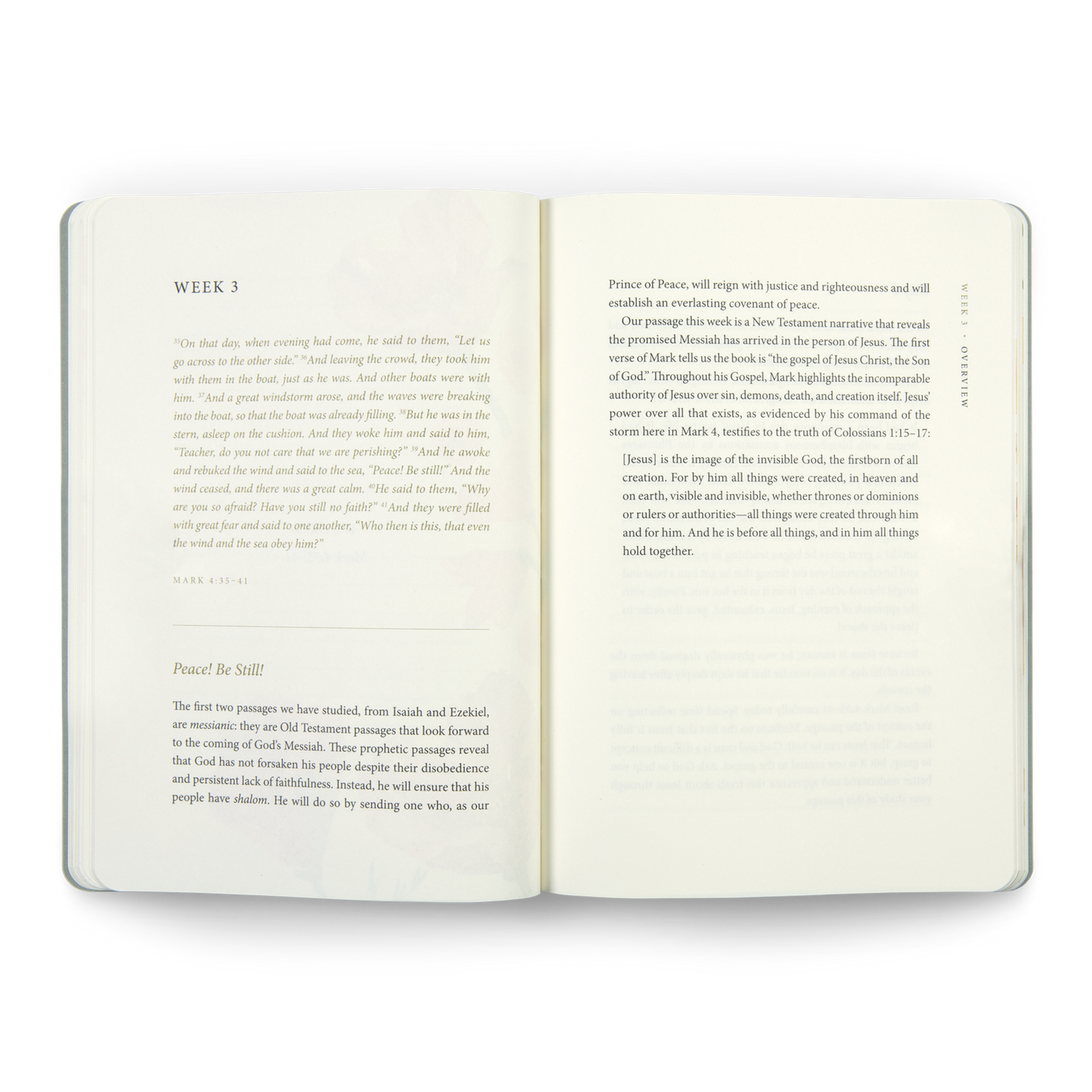 ESV Prayer Journal: 30 Days on Peace