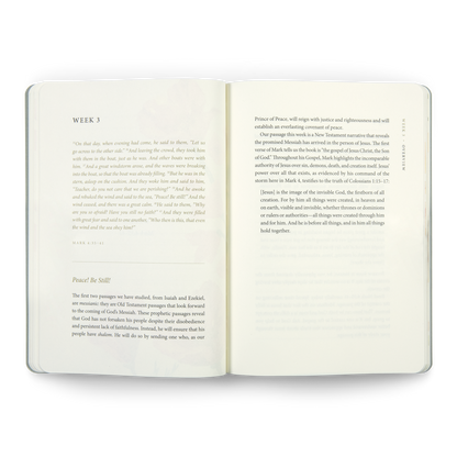 ESV Prayer Journal: 30 Days on Peace