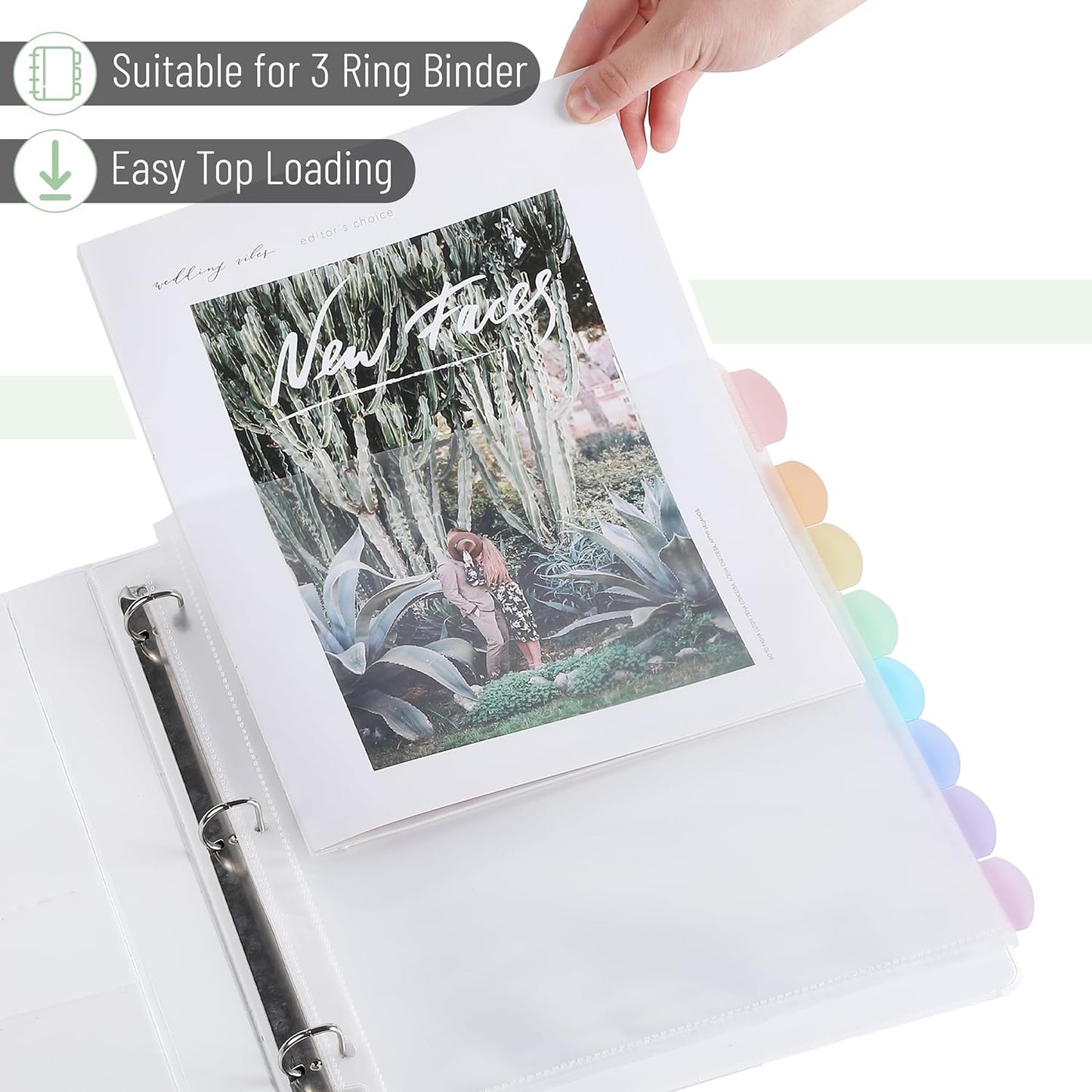 Mr. Pen- Clear Sheet Protectors with Binder Tabs, 8 Tabs, 2 Sets, Pastel,