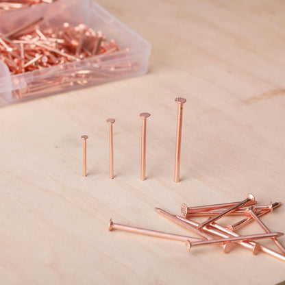 Nail Assortment Kit, 600 Pcs, 4 Sizes, Rose Gold, Small Nails for Hanging Pictures, Finishing Nails, Wall Nails for Hanging, Pin Nails, Hardware Nails, Assorted Nails, Galvanized Nails