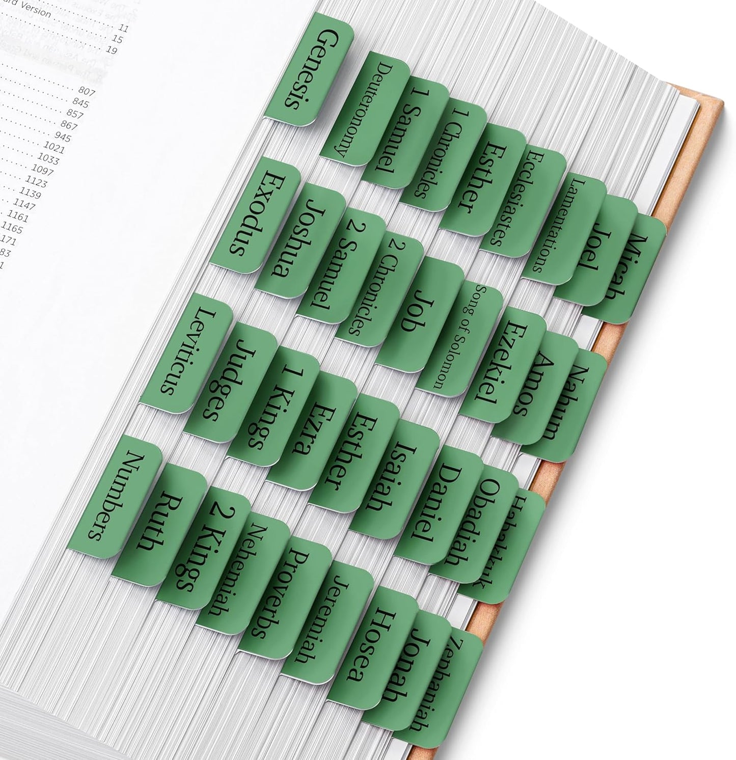 Mr. Pen- Bible Tabs, 75 Tabs, Forest Green, Laminated Bible Tabs for Women and Men, Bible Tabs for Study Bible, Bible Index Tabs