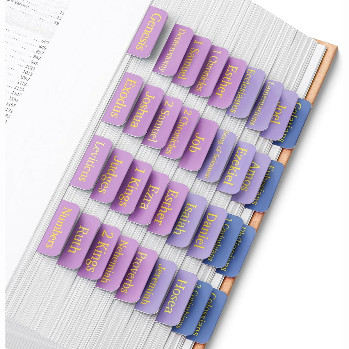 Mr. Pen- Bible Tabs, 75 Tabs, The Roseate Dusk, Gold Foil Embossed Lettering