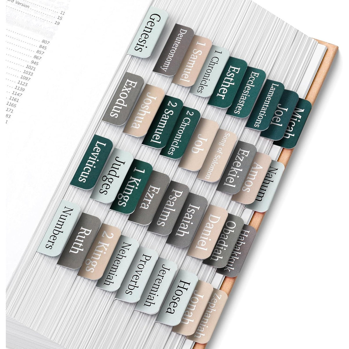 Mr. Pen- Bible Tabs, 75 Tabs, Winter Wood, Laminated Bible Tabs for Women and Men
