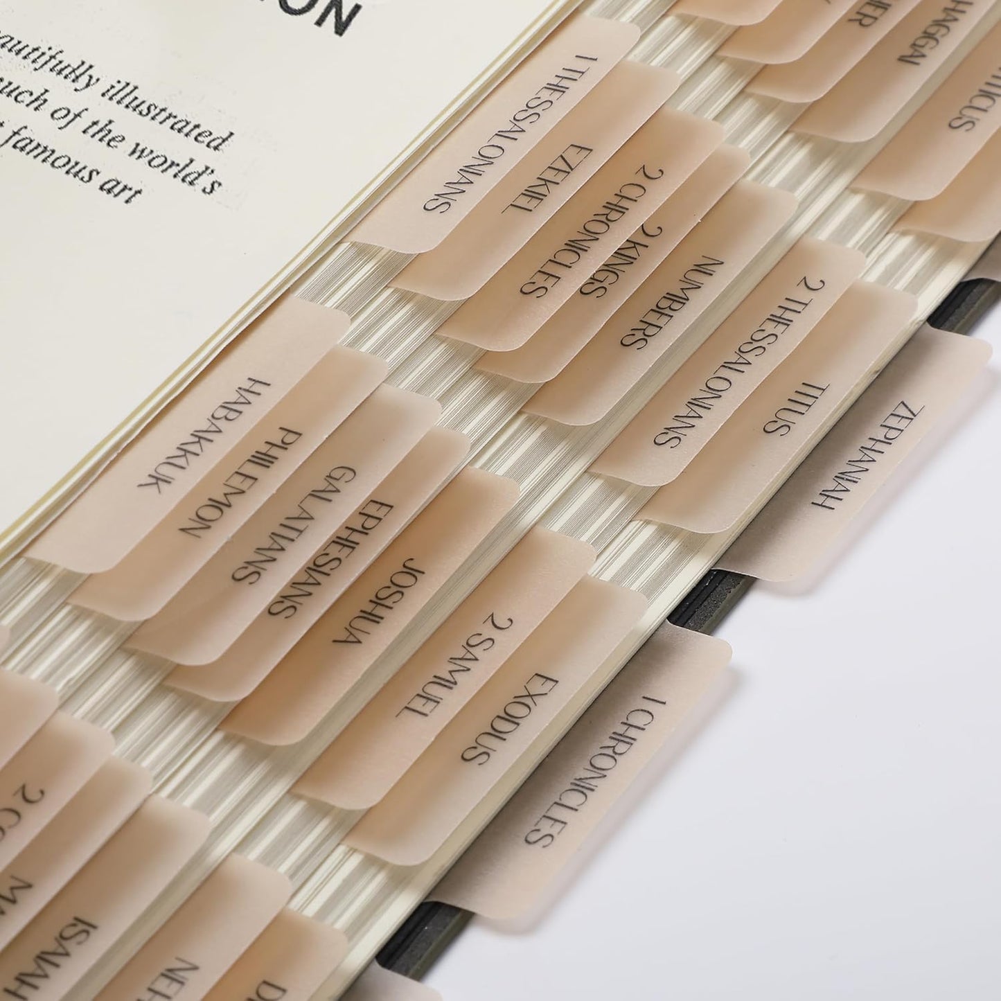 Mr. Pen- Bible Tabs, 75 Tabs, Transparent Cappuccino Laminated Bible Tabs for Women and Men, Bible Tabs for Study Bible Index Tabs, Bible Labels Tabs