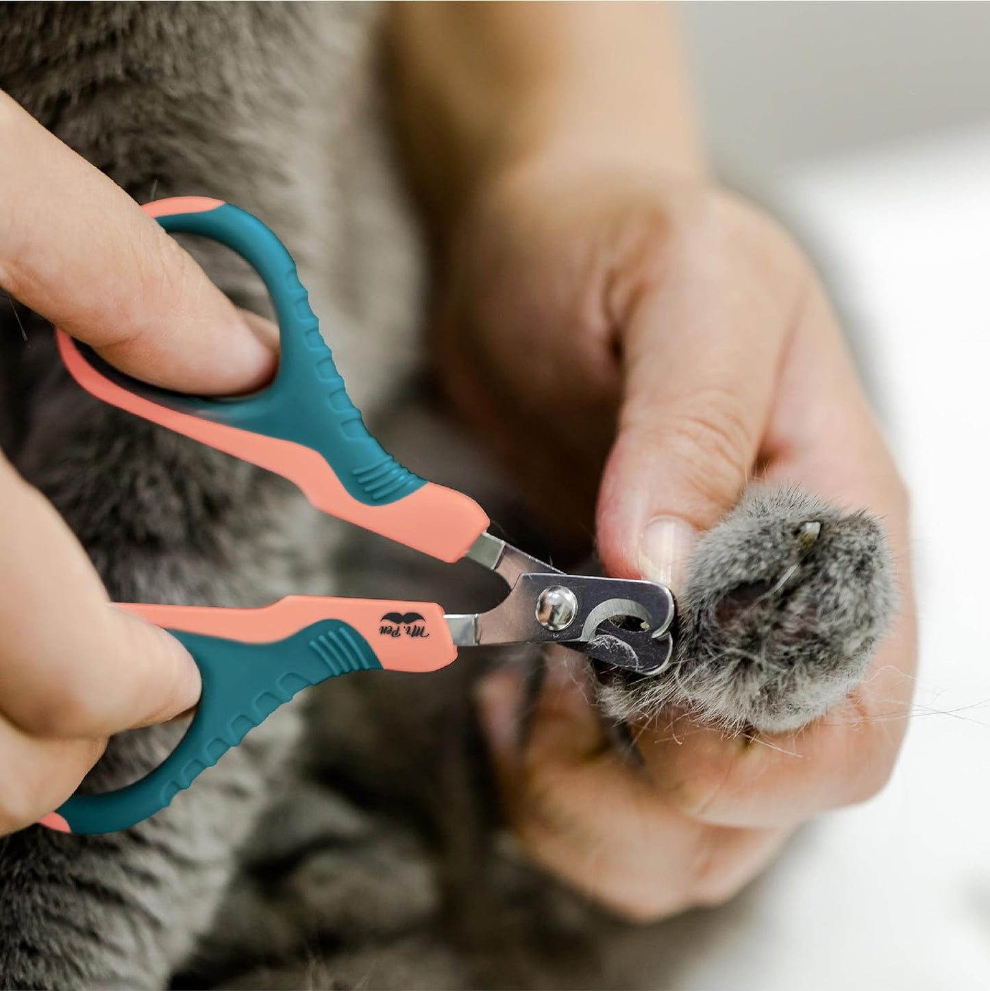 Mr. Pen-Cat Nail Clipper, Peach & Teal, Cat Nail Trimmer, Cat Nail Clippers, Cat Claw Clippers, Cat Clippers for Nails, Pet Nail Clippers, Kitten Nail Clipper, Small Dog Nail Clipper, Cat Claw Trimmer