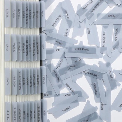 Mr. Pen- Bible Tabs, 75 Tabs, Transparent Dusty Blue Laminated Bible Tabs for Women and Men