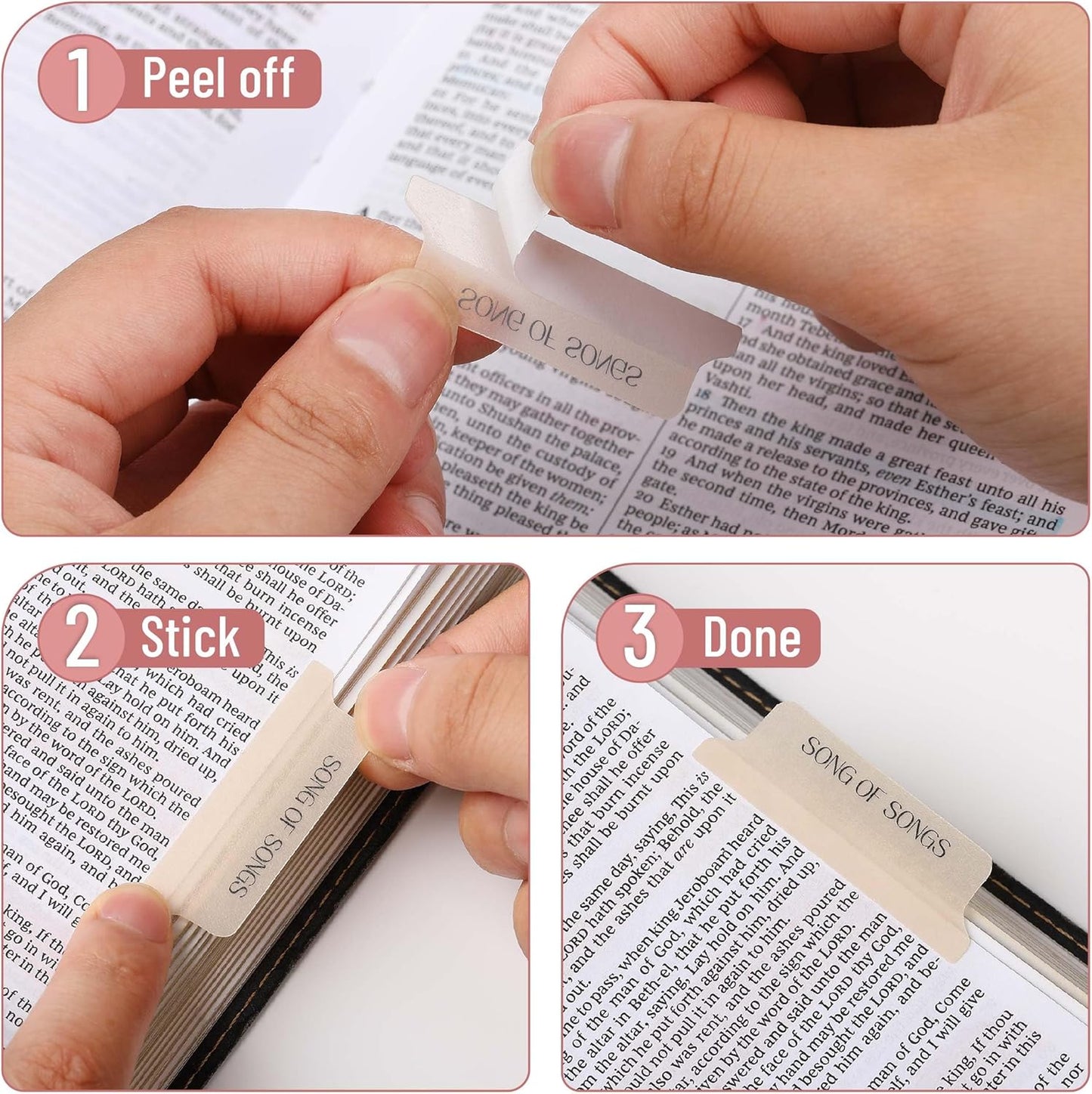Mr. Pen- Bible Tabs, 75 Tabs, Transparent Cappuccino Laminated Bible Tabs for Women and Men, Bible Tabs for Study Bible Index Tabs, Bible Labels Tabs