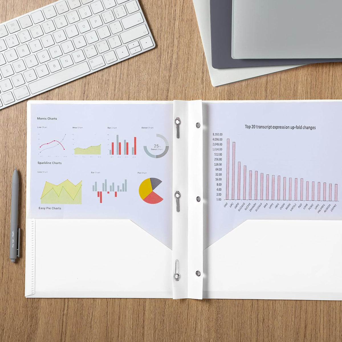 Mr. Pen- Plastic Folders with Pockets and Prongs, 5 Pack, Letter Size, Flexible Plastic Folders with Prongs
