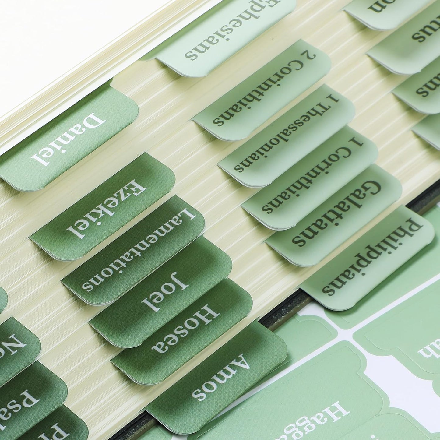 Mr. Pen- Bible Tabs, 75 Tabs, Sage Green, Laminated Bible Tabs for Women and Men
