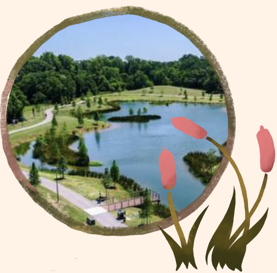 Moncus Park