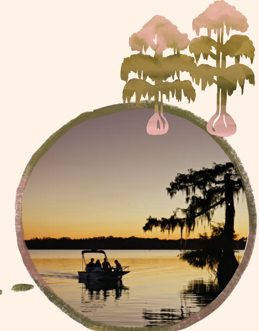 Swamp Excursion