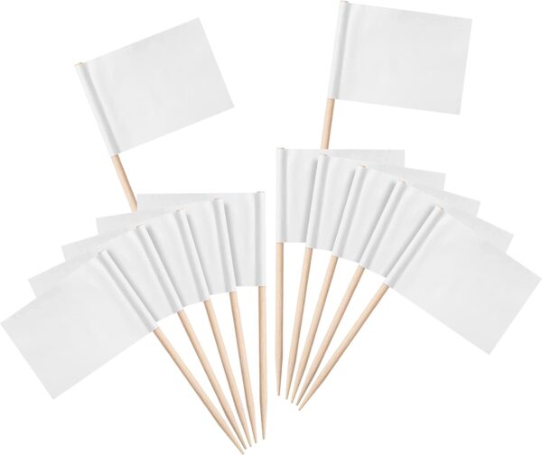 display of blank toothpick flags